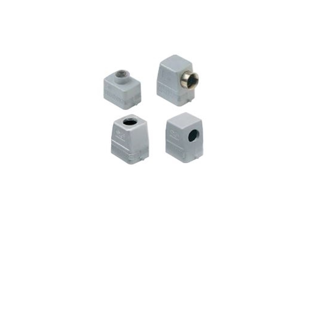 CHO-10 ILME HOOD 10 PIN SIDE ENT 2 PEGS PG16