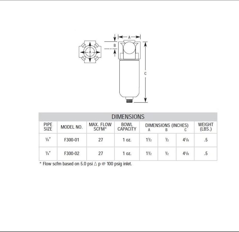 F300-02 ARROW MINI PARTICULATE FILTER 1/4" NPT, 20MIC