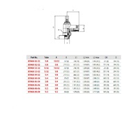 85968-04-02 AIGNEP FLOW CONTROL 1/4" TUBE X 1/8" UNF MALE METER IN W/KNOB - DISCONTINUED
