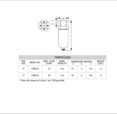 F300-02 ARROW MINI PARTICULATE FILTER 1/4" NPT, 20MIC