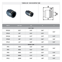 PPF1/2 FLOFLEX FLOFLEX COMPOSITE PUSH-IN PNEUMATIC FITTING, 1/2" TUBE CAP