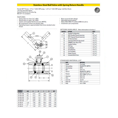 76-503-01A APOLLO STAINLESS STEEL BALL VALVE 1/2" NPT FEMALE, SPR RTN , LEVER HANDLE, 2000PSI